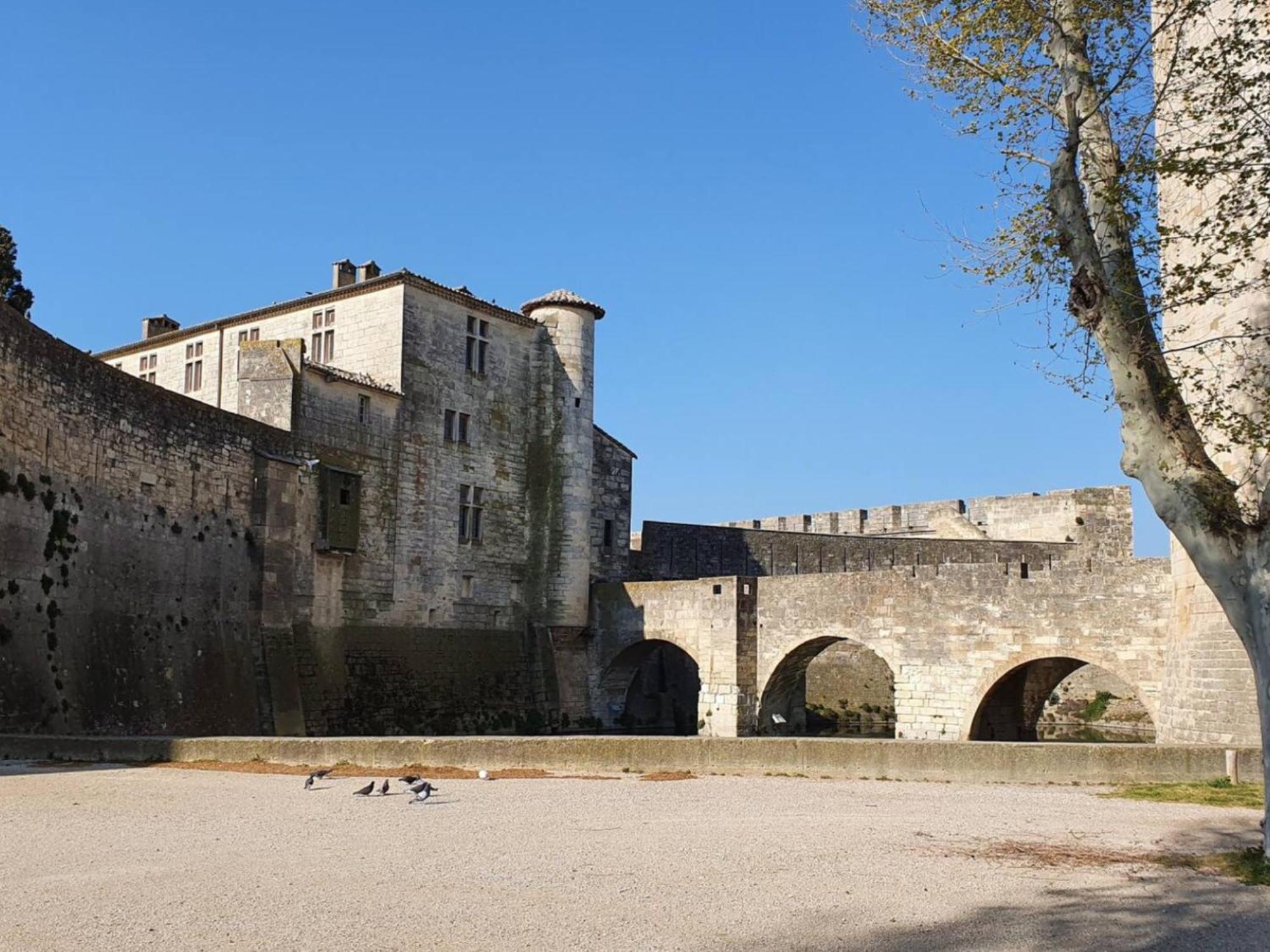 Maison Cosy, 2 Chambres, Adossee Aux Remparts エーグ・モルト エクステリア 写真